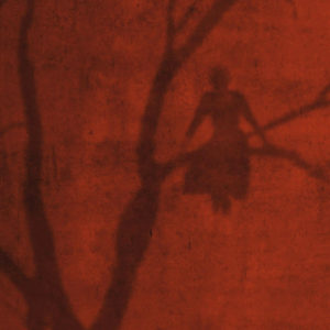 Päivi Hintsanen: Varjo punaisella seinällä - A Shadow on a Red Wall