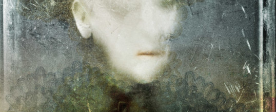 Poissa – Absent 8