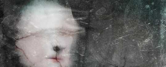 Poissa – Absent 193