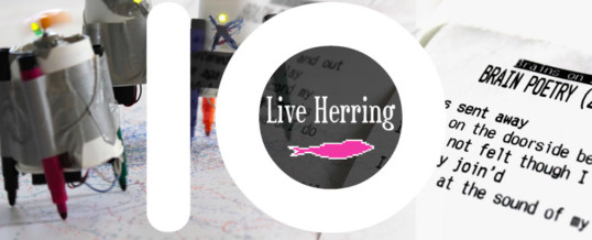 Live Herring 10 v / years