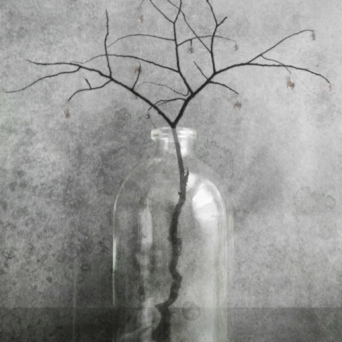 Viha - Hatred
